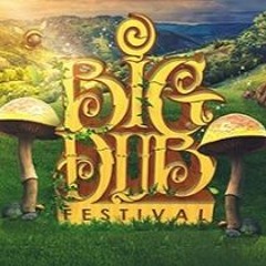 Big Dub Festival 2023 Mix