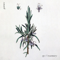 ep // rosemary