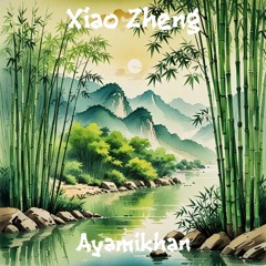 Xiao Zheng