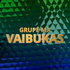 Grupė MX - Vaibukas (feat. hhappiestkidd)