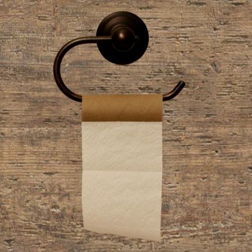 Stream The Toilet Paper Song (high quality FLAC format) by Michael Lynn ...