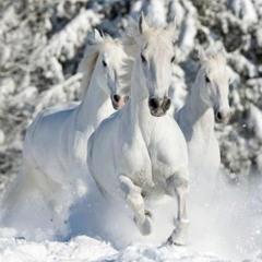 Три Белых Коня