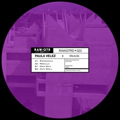 PREMIERE: Paula Velez - Medulla [Raw Quarter]