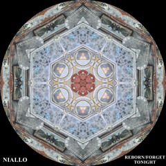 Niallo - Forget Tonight [Rendah Mag Premiere]