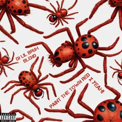 Doja Cat - Paint The Town Red X Yeah (DJ Lil Bruh Blend)