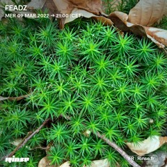 Feadz - 09 Mars 2022