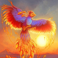 The Phoenix-Shadows to Light