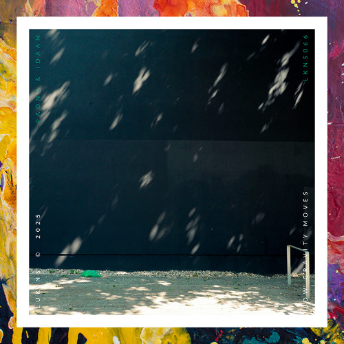 PREMIERE: Paons & Idaam — Low Gravity Moves [Lukins]