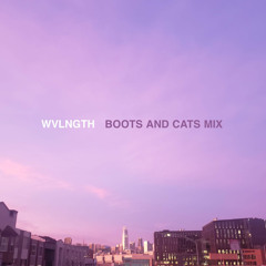 WVLNGTH - Boots and Cats Mix