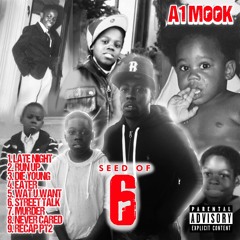 A1 Mook x Never Cared