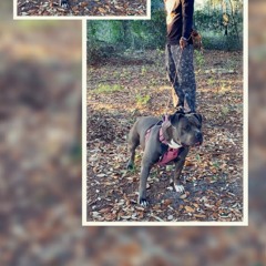 J3TLyfe Que- SEND A MESSAGE