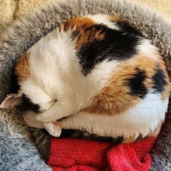 song for a very small friend