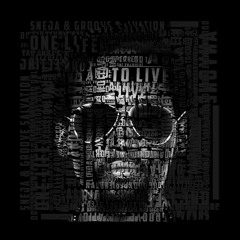 Sneja & Groove Salvation - One Life To Live (Original Mix)(96Kbps)