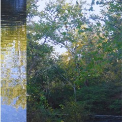 can't stay + genesis555 , Brideboi