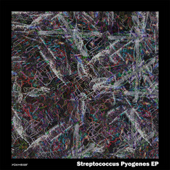 Streptococcus Pyogenes ( hitsuzin Remix )