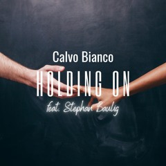 Holding On (feat. Stephan Baulig)