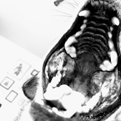 Serpent Hearts - The ache of emptiness