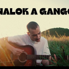 Flip The Beat x Hajnalok a Gangon x Villám (Dann Miller Mashup)