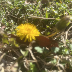 Lives In You by Kaye Marie