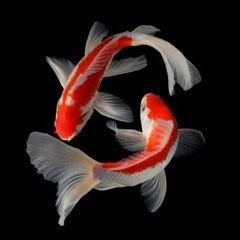 up ft. brando prod. by 2lz