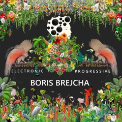 BORIS BREJCHA