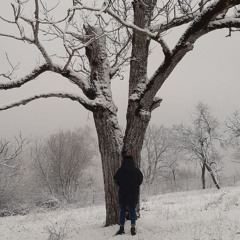 ٦ نوڤيمبر، ١٩٩١مْ⁩