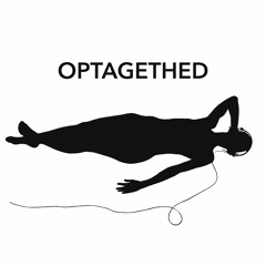 Optagethed-excerpt