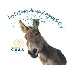 Asinflow - La balena di montagna S.O.S