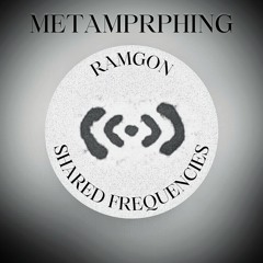 METAMORPHING Series ⎜ SHARED FREQUENCIES ⎜ 2025