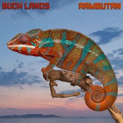 Buck Lands - Rambutan