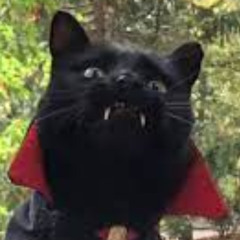 Bonus Babe (sp00ky edition)