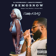 DJ HoodBunnny x SieNote: i LiiiiKE A BAG (Megan Thee Stallion x Premo Rice)