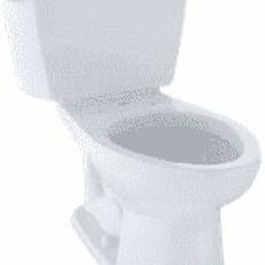 Toiletbowl