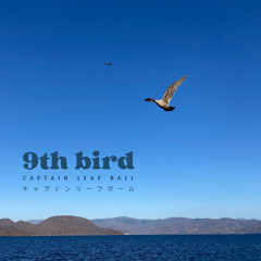 9th bird