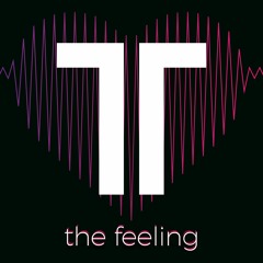 The Feeling (Hate 2 Love) - Theo Tams