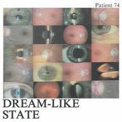 Patient 74 (demo)