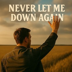 Never Let Me Down Again