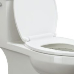 Toilet Water Thursday 1.0 (L4H Deluxe)