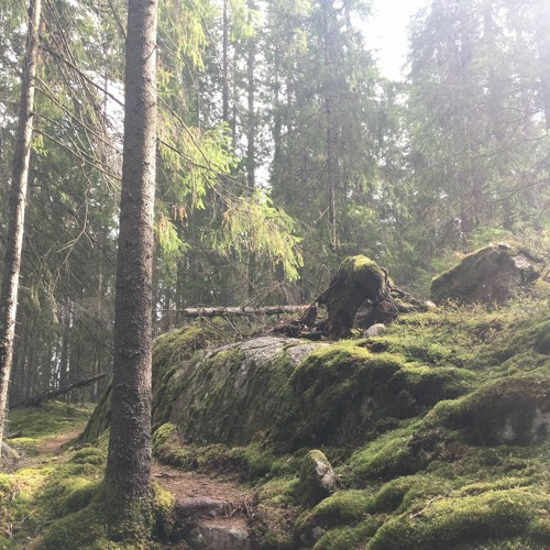 Fifty50 #11 Pagan Rituals