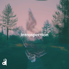 introspection