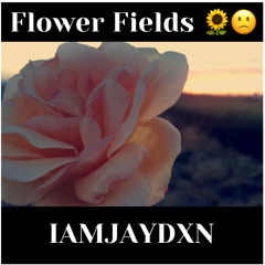 FlowerFields-IAMJAYDXN