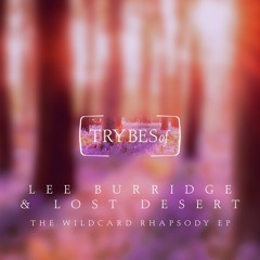 Lost Desert & Lee Burridge - Bloemenvelden