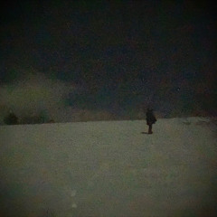 lullaby for the moon