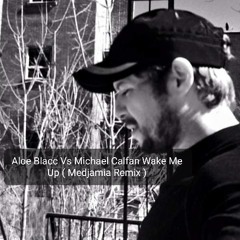 Avicii feat. Aloe Blacc Vs Michael Calfan Wake Me Up ( Medjamia Remix )