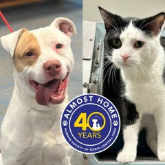 The Mix Morning Show - Warm Fuzzy Wednesday 3/13/24