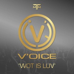 V'oice - Wot Is Luv