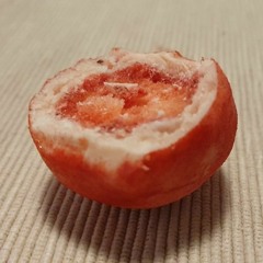 New Haus Song (Dirty Electric Search Edit)