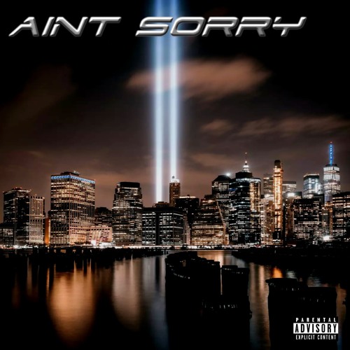 Aint sorry {Feat.L!NKO}