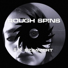 Rough Spins #12 szimmert