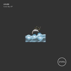 UDUBB - Abstract